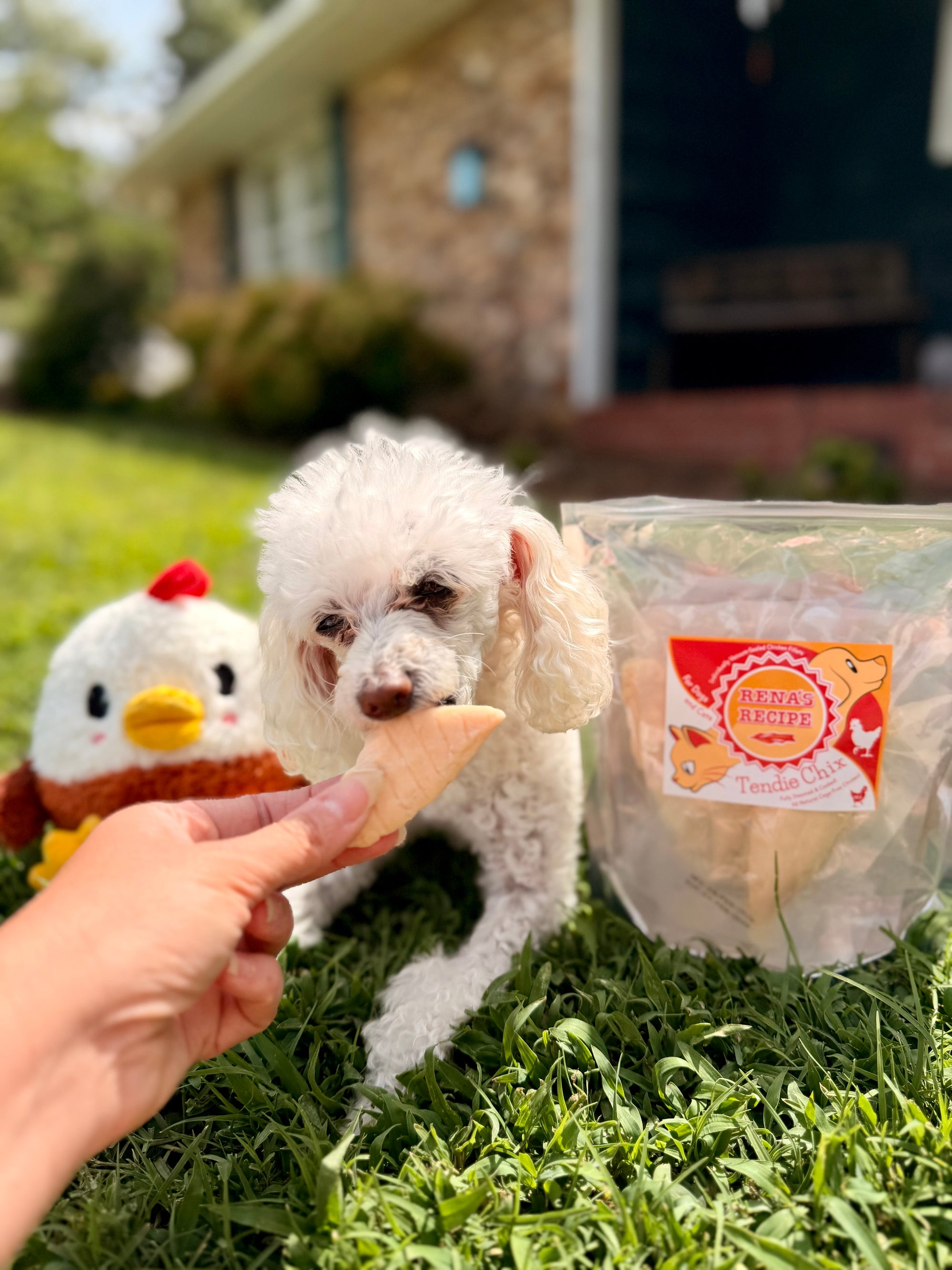 NEW!!! Rena's Recipe Tendie Chix for Dogs and Cats – All Natural Pure Chicken Fillet Treats • Fully Steamed & Cooked • 8 Fillets • 9 oz